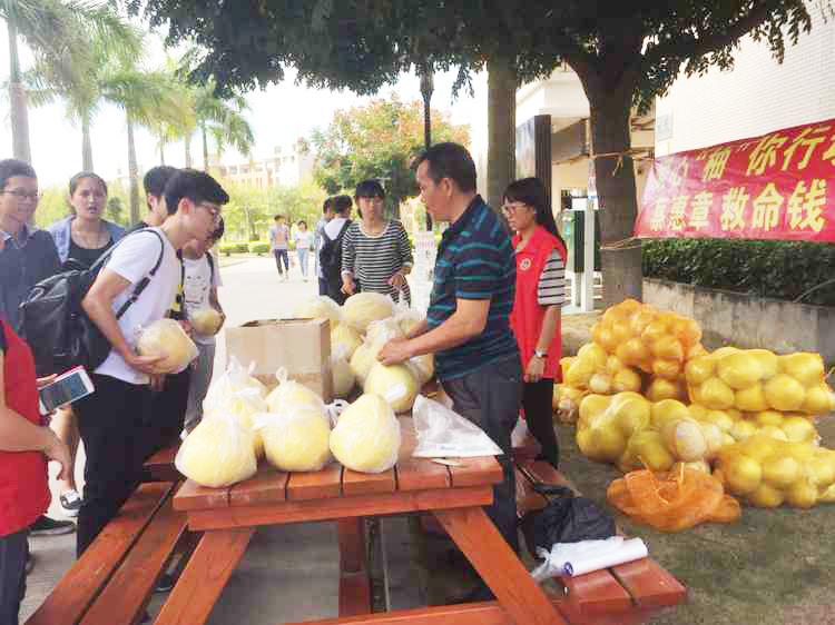 皇冠线上买球