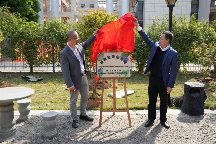 世俱杯哪里有直播