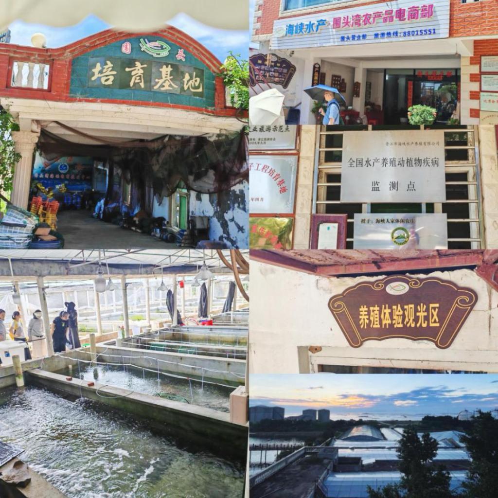 世俱杯视频直播