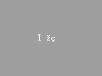 2025世俱杯无插件免费直播平台